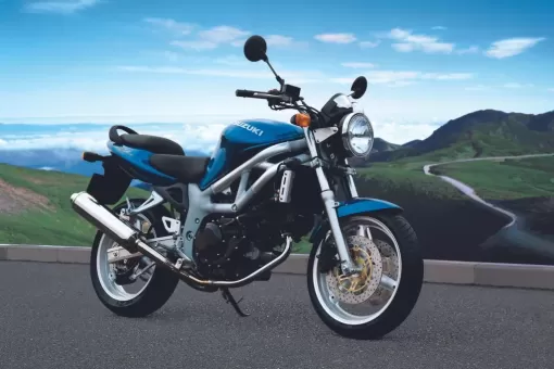 suzuki-june24-suzukilive25yrs-gallery15.jpg